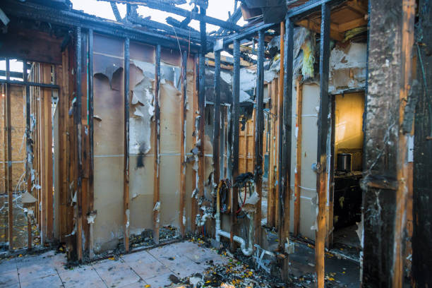 Professional Fire Damage Removal technician working in Marshall, AR